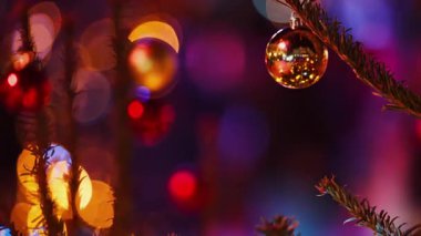 Süslemeleri ve bulanık arkaplanı olan bir Noel ağacının dalını kapat