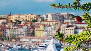 Fransa 'nın Cannes kentindeki Pierre Canto Limanı' na yanaşan teknelerin bulanık görüntüsü