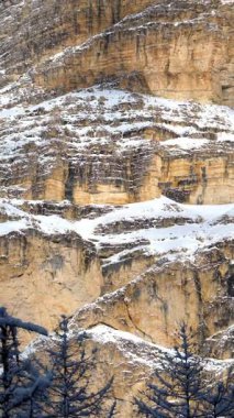 Arkadaki bulutlu gökyüzü ile Dolomitler, İtalya 'daki ağaçlarda ve dağlarda kar manzarası. Dikey