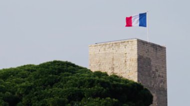 Fransa 'nın Cannes kentindeki yeşil ağaçların yakınında Dünya Keşif Müzesi' nin tepesinde dalgalanan Fransa bayrağı.