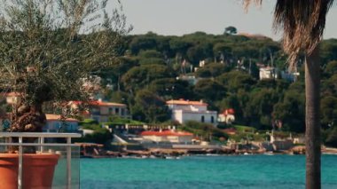 Rüzgarda hareket eden bir ağaç dalını kapatın. Arka planda ağaçlarla çevrili turuncu villaların bulanık görüntüsüyle.