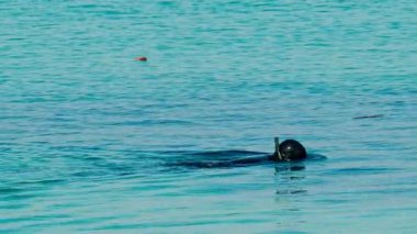 Temiz, sakin, turkuaz mavisi suda yüzen bir adam görüntüsü
