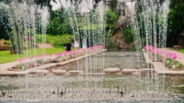 Arka planda bulanık bir manzarası olan Villa Emiri de Rothschild 'in avlusundaki çeşmenin yakınında.