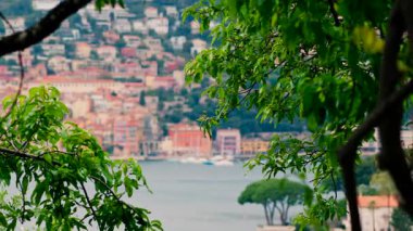 Close up of green tree branches with a blurred, distant view of the colourful buildings of Villefranche-sur-Mer, France