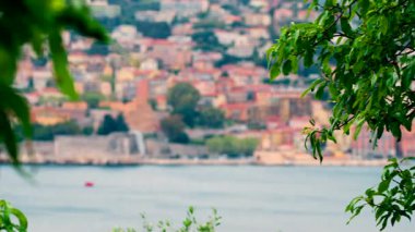 Close up of green tree branches with a blurred, distant view of the colourful buildings of Villefranche-sur-Mer, France