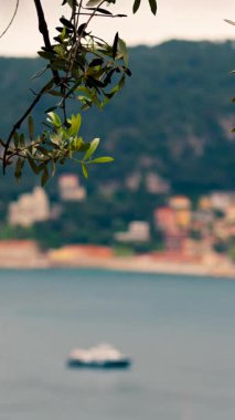 Close up of a green tree branch with a blurred view of the colourful buildings Villefranche-sur-Mer, France and a boat moving on the sea. Vertical