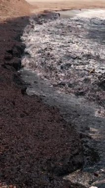 Karanlık dalgaların kenarları köpükle kaplı çamurlu bir sahile çarpması. Dikey