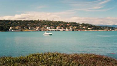 Fransa 'nın Bandol şehrinin arka planında yüzen tekneleri gören yeşil çalıları kapatın.