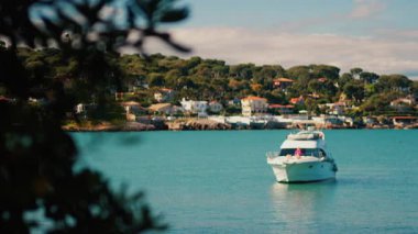 Denizde yüzen tekneleri bulanık gören yeşil bir ağaç dalına yakın.