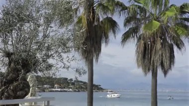 Mavi denizde kayıkları olan palmiye ağaçları ve kıyı kasabası ve arka planda dağlar.