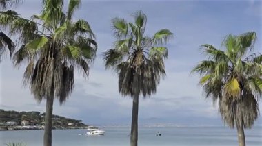 Mavi denizde kayıkları olan palmiye ağaçları ve kıyı kasabası ve arka planda dağlar.