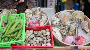 Japonya 'daki Tsukiji Balık Pazarı' nda buzdaki farklı deniz kabukları.