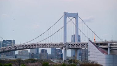 Gökkuşağı Köprüsü manzarası ve bulutlu bir günde Tokyo, Japonya 'nın ufuk çizgisi