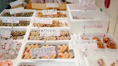 Tokyo, Japonya - 23 Nisan 2025: Japonya 'daki Tsukiji Balık Pazarı' nda farklı karides türleri sergilenmektedir. Çevirisi: 