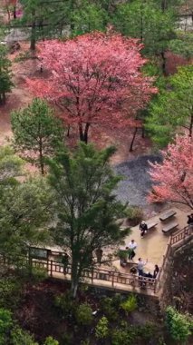 Hava aracı, Kyoto Japonya 'nın Arashiyama bölgesindeki bir parktaki insanları gündüz gözüyle izliyor.