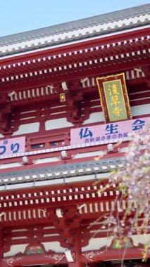 Japonya, Tokyo, Asakusa 'da gündüz vakti Kiraz çiçekleriyle çevrili Senso-ji tapınağı. Dikey. Çeviri: 