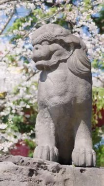 Japonya 'nın Asakusa kentindeki Senso-ji Tapınağı' nda taş heykel. Dikey