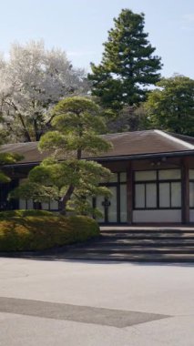 Chiyoda, Tokyo, Japonya 'daki İmparatorluk Sarayı misafir evinin gündüz manzarası. Dikey