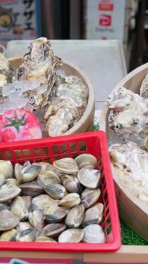 Japonya 'daki Tsukiji Balık Pazarı' nda buzdaki farklı deniz kabukları. Dikey