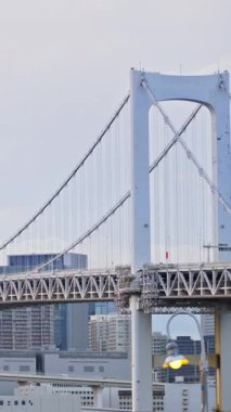 Gökkuşağı Köprüsü manzarası ve bulutlu bir günde Tokyo, Japonya 'nın ufuk çizgisi. Dikey