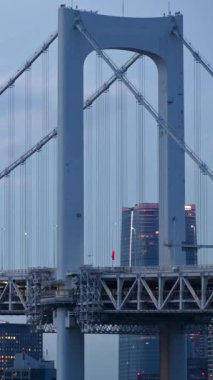 Gökkuşağı Köprüsü manzarası ve Tokyo, Japonya 'nın gökyüzü manzarası. Dikey