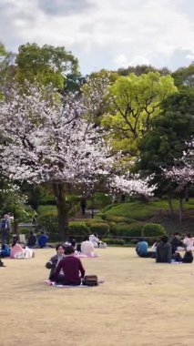 Tokyo, Japonya - 23 Nisan 2025: Chiyoda 'da kiraz ağaçlarının yanındaki Kita-no-maru parkında dinlenen insanlar. Dikey
