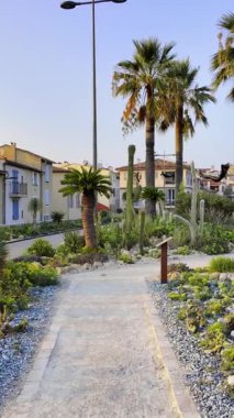 Antibes, Fransa - 29 Ağustos 2024: Nicolas Lavarenne tarafından yapılan Bronz heykel manzarası yeşillikle çevrili. Dikey