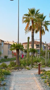 Antibes, Fransa - 29 Ağustos 2024: Arka planda binalar olan bir parkta kaktüs ve palmiye ağaçlarının görüntüsü. Dikey