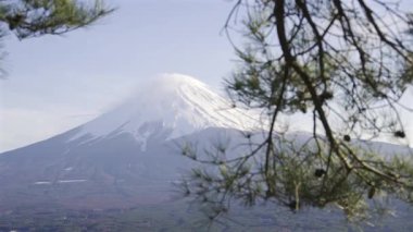 Kar, yeşil ağaçlarla çerçevelenmiş, Japonya 'nın önde gelen Fuji dağının zirvesini kaplıyor. Açık bir günde büyüleyici bir doğal güzellik sergiliyor..