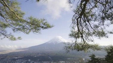 Fuji Dağı, yemyeşil çam dalları tarafından çerçevelenmiş, parlak mavi gökyüzüne karşı yükselir ve Japonya 'daki bu ikonik manzaranın nefes kesici bir görüntüsünü sunar..