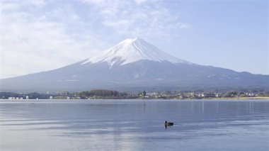 Fuji Dağı gün doğumunda Kawaguchiko Gölü sularına yansıyor. Bir ördek usulca suyun üzerinde süzülüyor, huzur dolu sahneyi ekliyor..