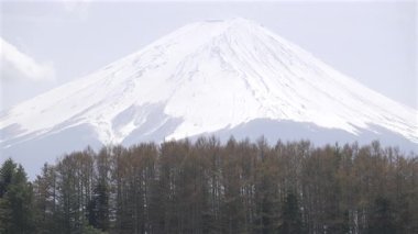 İlkbaharın sonlarında filizlenen ağaçların üzerinde yükselen ve doğanın güzelliğini ve sükunetini gösteren karla kaplı Fuji dağının nefes kesici manzarasını keşfedin. Fujikawaguchiko