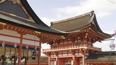 Fushimi Inari tarihi tapınağındaki antik bir taş feneri çevreleyen pembe kiraz çiçekleri. Sahne, baharın güzelliğini, sergilenen kültürü ve doğal güzelliği yakalıyor. Kyoto, Japonya