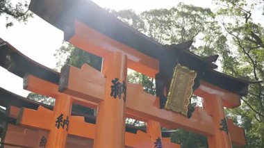 Çarpıcı turuncu bir torii kapısı, güneş ışığıyla aydınlatılan yemyeşil ağaçların arasında dimdik duruyor. Metin çevirisi: 