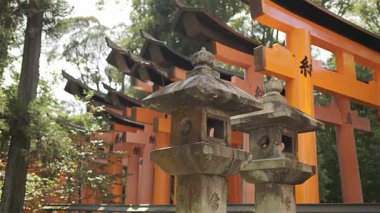 Canlı bir kırmızı torii kapısı ağaçların arasında görkemli bir şekilde duruyor, kutsal bir bölgenin girişini sembolize ediyor. Kapıda Japonca yazılmış dini metinler