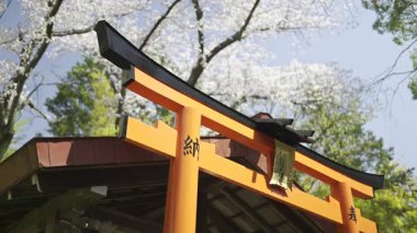 Canlı bir gövde kapısı gururla durur çiçek açan kiraz çiçekleriyle çevrili. Metin Çevirisi: 