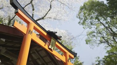 Canlı bir gövde kapısı gururla durur çiçek açan kiraz çiçekleriyle çevrili. Metin Çevirisi: 