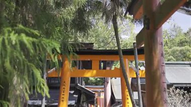 Güzel bir orman ortamında canlı kırmızı kapılarla dolu sakin bir patika. Tapınak metni çevirisi: 