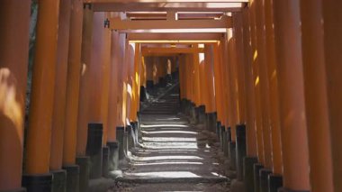 Kyoto 'daki Fushimi Inari Tapınağı' nın ikonik kırmızı torii kapılarında dolaş. Bu ünlü mabet, sıcak güneş ışığı altında çarpıcı yollar ve zengin kültürel anlamlarla doludur..