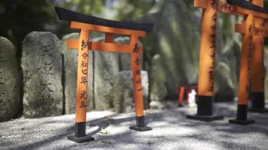 Kyoto, Japonya - 9 Nisan 2025: Antik tapınakta taşın üzerinde duran canlı küçük kırmızı torii kapıları. Fushimi Inari