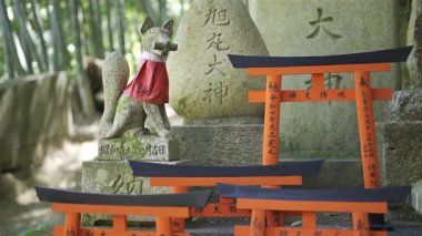 Kyoto, Japonya - 9 Nisan 2025: Kırmızı bez giyen bir tilki heykeli, huzurlu bir ormandaki küçük kırmızı torii kapılarıyla tamamlanmış bir türbede duruyor. Kyoto, Japonya, Fushimi Inari