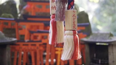Kyoto, Japonya - 9 Nisan 2025: canlı torii kapıları ve geleneksel asma süslemeleri olan türbe. Fushimi Inari