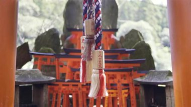 Kyoto, Japonya - 9 Nisan 2025: canlı torii kapıları ve geleneksel asma süslemeleri olan türbe. Fushimi Inari