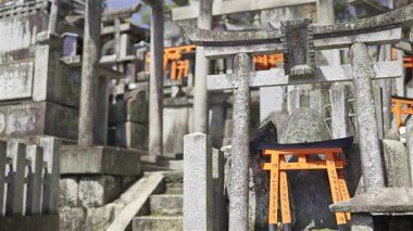 Kyoto, Japonya - 9 Nisan 2025: Antik Japon tapınakları canlı kırmızı torii kapılarıyla süslenmiştir. Fushimi Inari