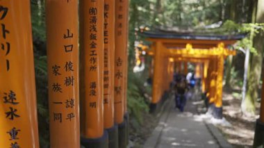 Kyoto, Japonya - 9 Nisan 2025: Ziyaretçiler yemyeşil yeşilliklerle çevrili Fushimi Inari türbesindeki çarpıcı kırmızı torii kapılarından geçerek yürüyorlar.