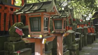Kyoto, Japonya - 9 Nisan 2025: Canlı yeşilliklerle çevrili geleneksel fener ve taş heykellerin bulunduğu türbe. Fushimi Inari