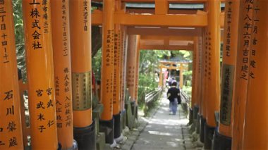 Kyoto, Japonya - 9 Nisan 2025: Fushimi Inari Tapınağı 'ndaki kırmızı torii kapıları, bereketli doğayla çevrili manzara yolu boyunca yürüyen insanlarla dolu.