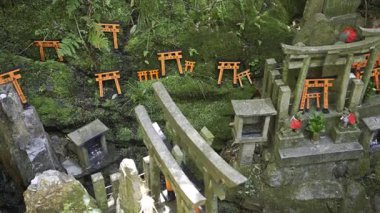 Kyoto, Japonya - 9 Nisan 2025: Parlak kırmızı torii kapıları yeşil yosun ve doğal kaya oluşumlarıyla çevrili, dingin bir orman türbesine saçılmıştır..