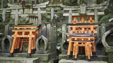 Kyoto, Japonya - 9 Nisan 2025: Parlak kırmızı torii kapıları yeşil yosun ve doğal kaya oluşumlarıyla çevrili, dingin bir orman türbesine saçılmıştır..