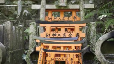 Kyoto, Japonya - 9 Nisan 2025: Parlak kırmızı torii kapıları yeşil yosun ve doğal kaya oluşumlarıyla çevrili, dingin bir orman türbesine saçılmıştır..